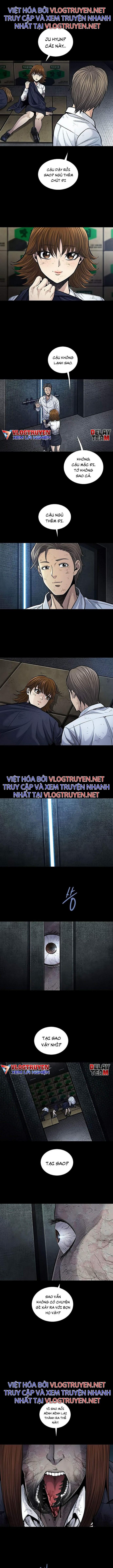 Đọc truyện Hive - Thảm họa ong độc - Chap 248